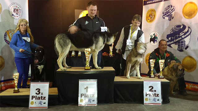 Stefano Bartolini giudice al World Dog Show 2016 di Lipsia in Germania