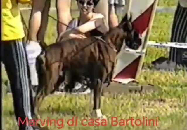 Casa Bartolini