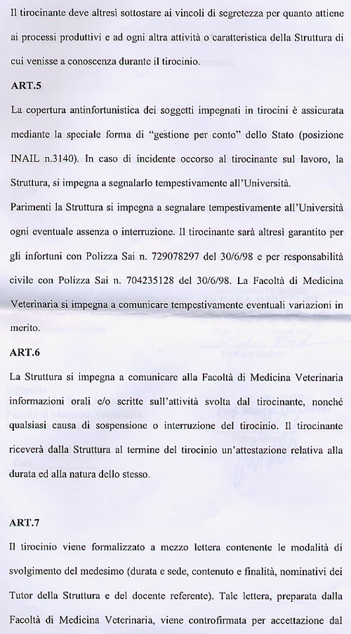 Convenzione