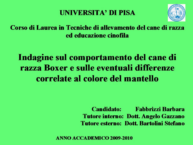 Tesi di Barbara Fabbrizzi