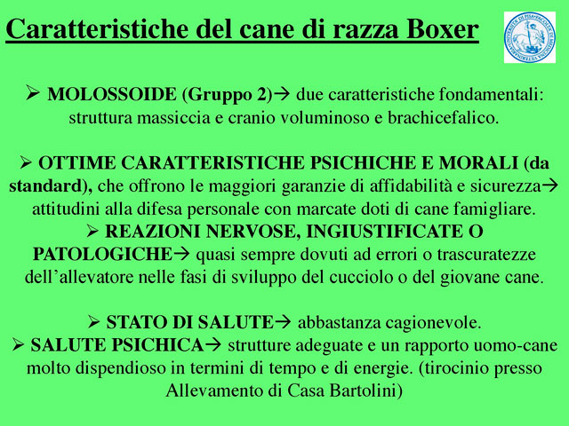 Tesi di Barbara Fabbrizzi