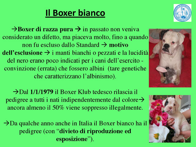 Tesi di Barbara Fabbrizzi