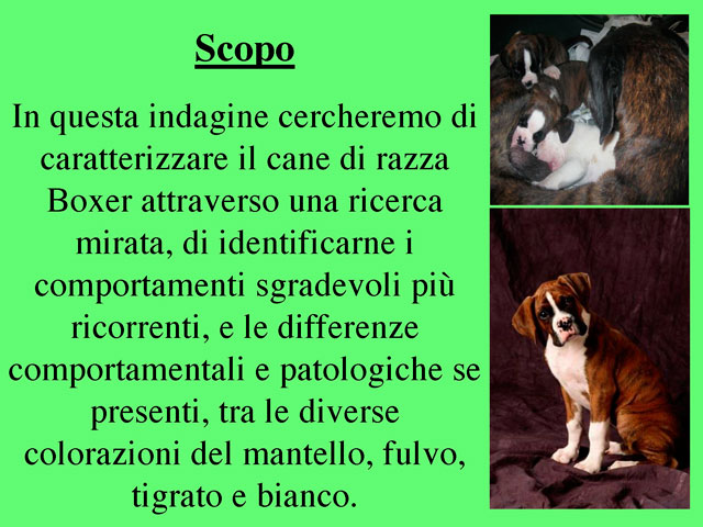 Tesi di Barbara Fabbrizzi