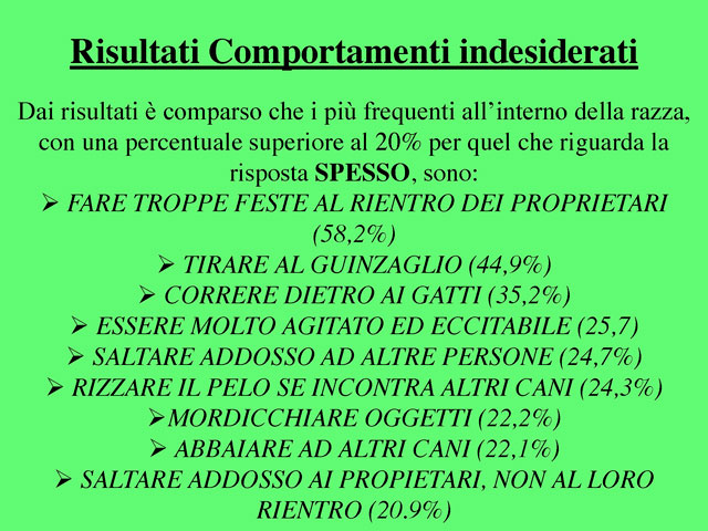 Tesi di Barbara Fabbrizzi