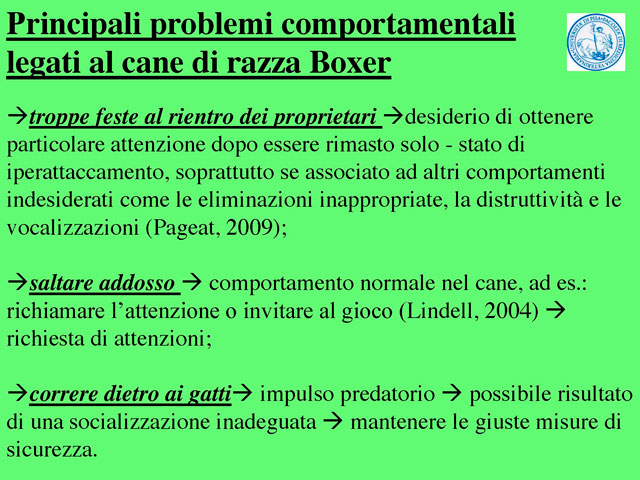Tesi di Barbara Fabbrizzi