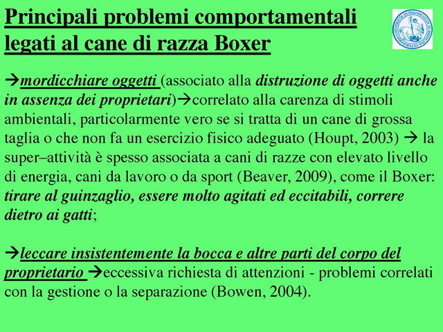 Tesi di Barbara Fabbrizzi