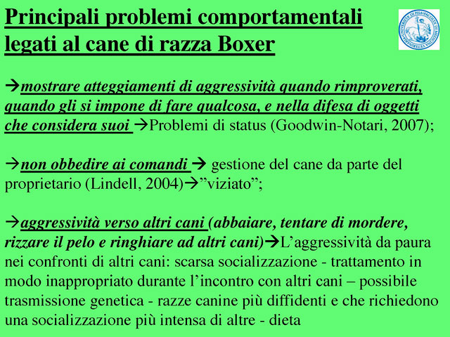 Tesi di Barbara Fabbrizzi