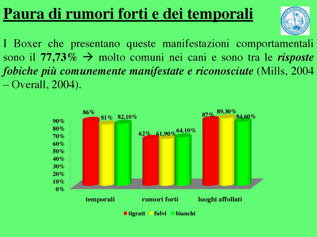 Tesi di Barbara Fabbrizzi
