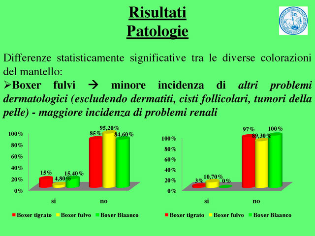 Tesi di Barbara Fabbrizzi