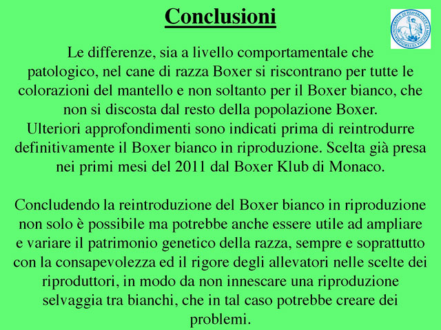 Tesi di Barbara Fabbrizzi