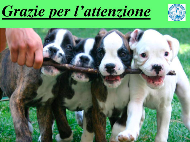 Tesi di Barbara Fabbrizzi