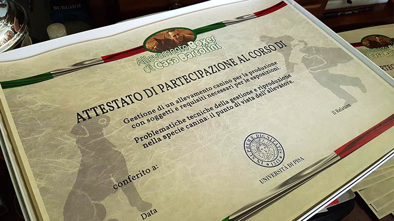 Studenti in visita