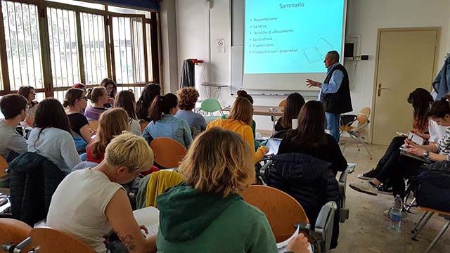Seminario 2