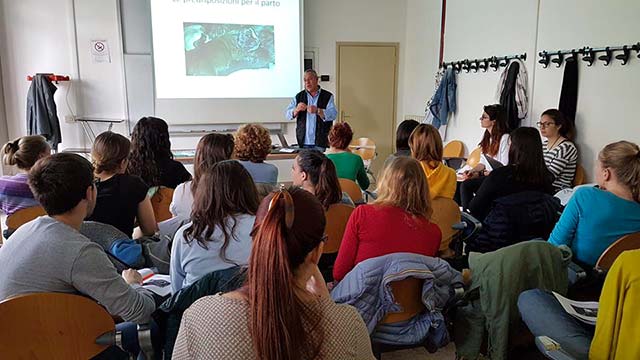 Seminario 2