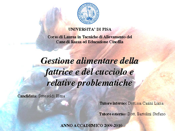 Tesi di Elena Settesoldi