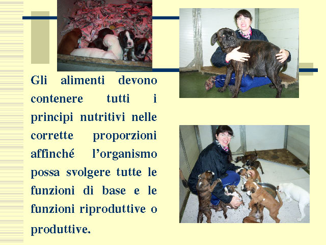 Tesi di Elena Settesoldi