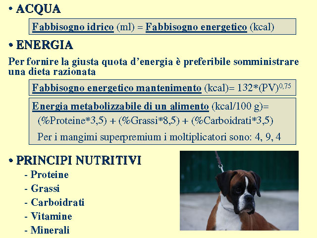 Tesi di Elena Settesoldi