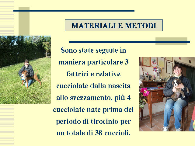 Tesi di Elena Settesoldi