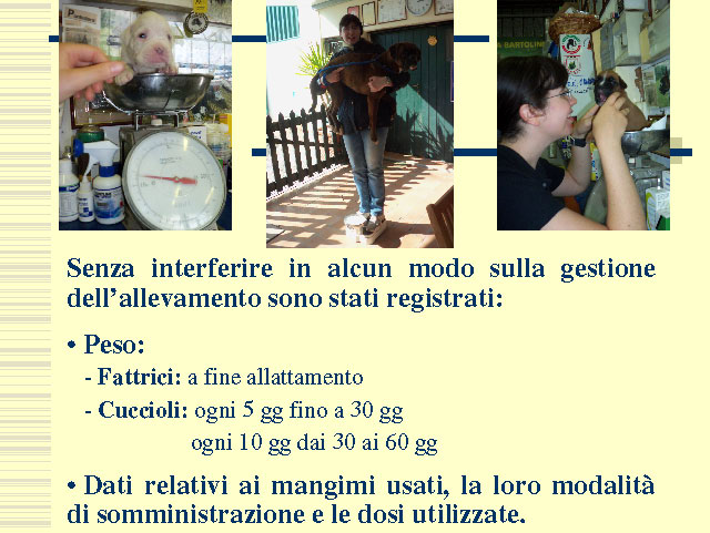Tesi di Elena Settesoldi