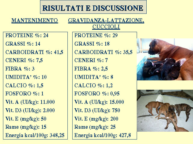 Tesi di Elena Settesoldi