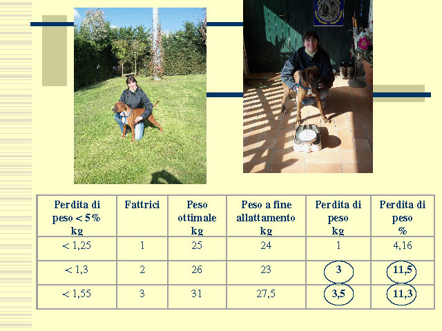 Tesi di Elena Settesoldi