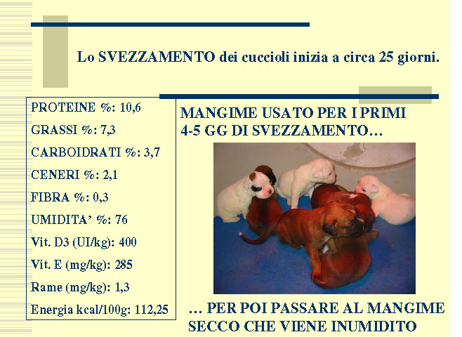Tesi di Elena Settesoldi