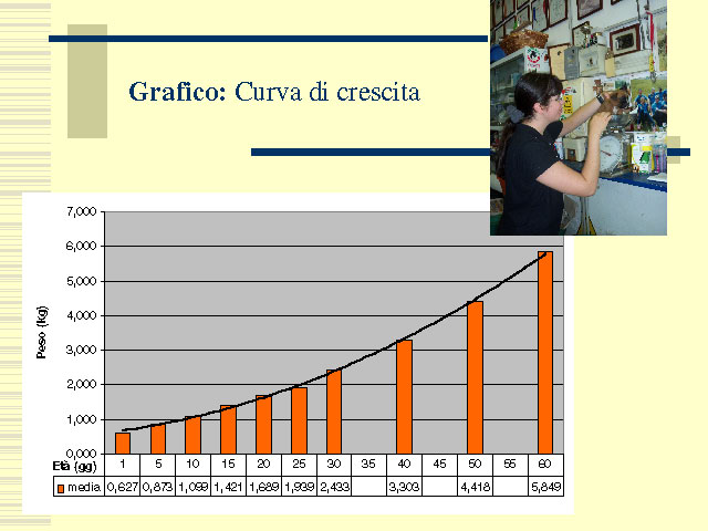 Tesi di Elena Settesoldi