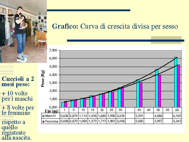 Tesi di Elena Settesoldi