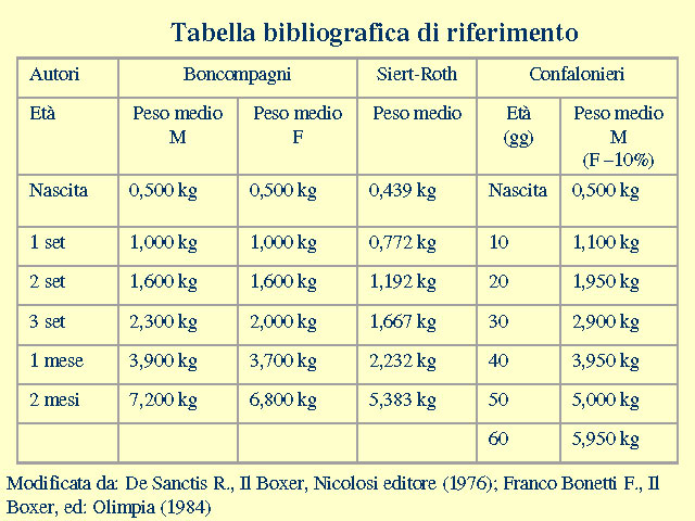 Tesi di Elena Settesoldi