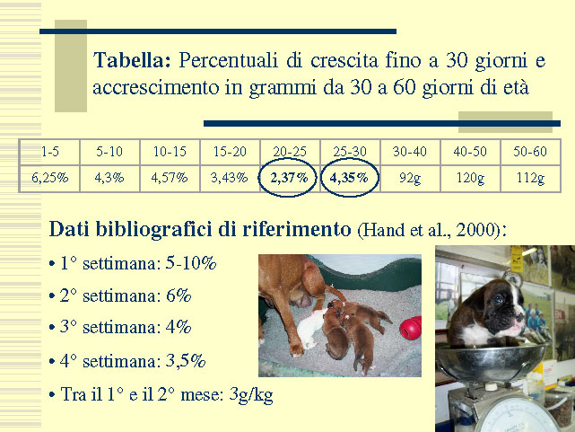 Tesi di Elena Settesoldi