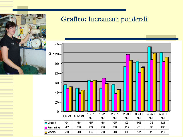 Tesi di Elena Settesoldi
