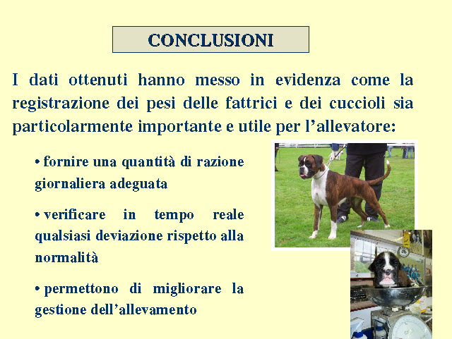 Tesi di Elena Settesoldi
