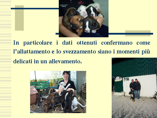 Tesi di Elena Settesoldi