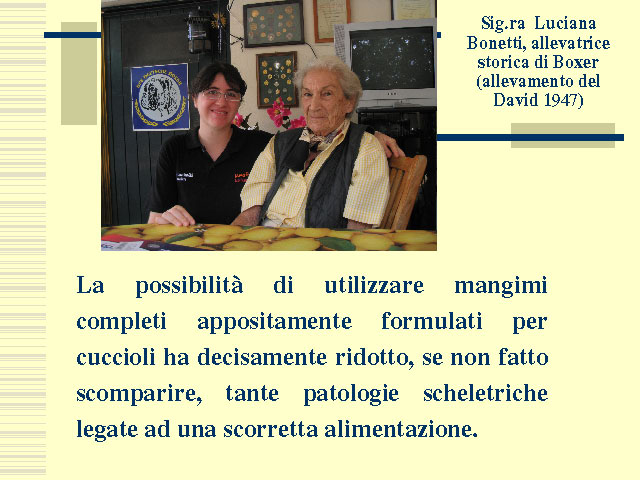 Tesi di Elena Settesoldi