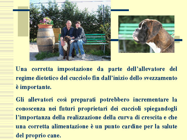 Tesi di Elena Settesoldi