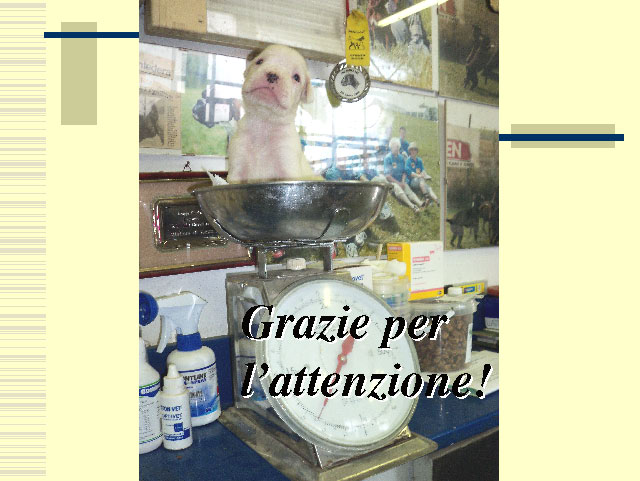 Tesi di Elena Settesoldi