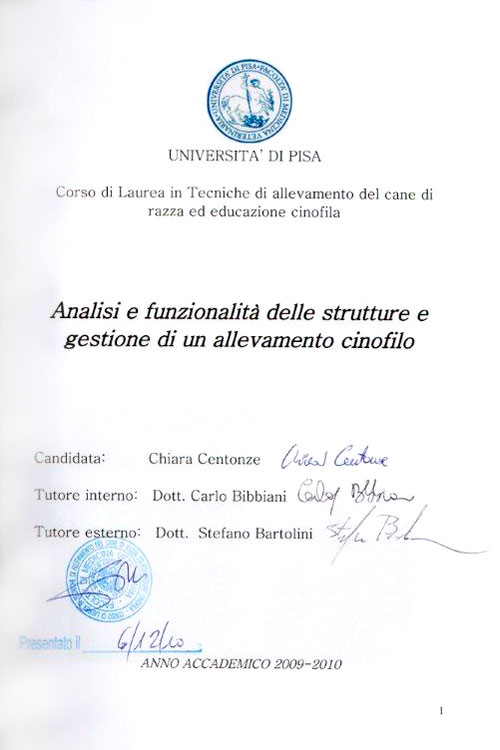 Tesi di Chiara Centozone