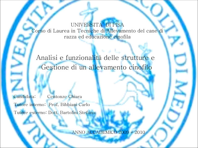 Tesi di Chiara Centozone