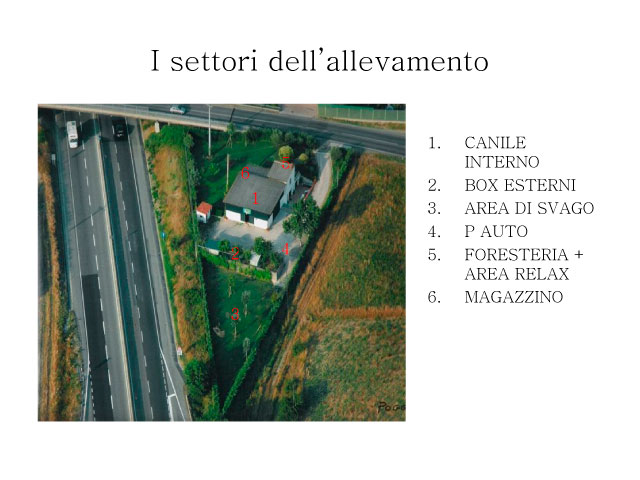 Tesi di Chiara Centozone