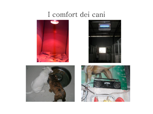 Tesi di Chiara Centozone