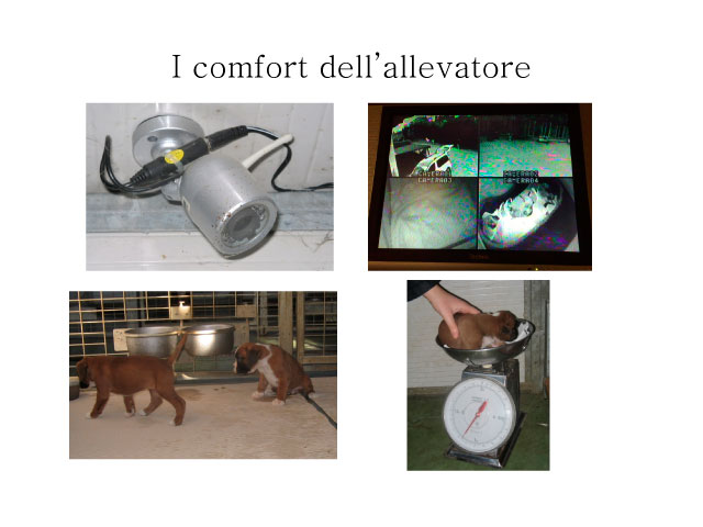 Tesi di Chiara Centozone