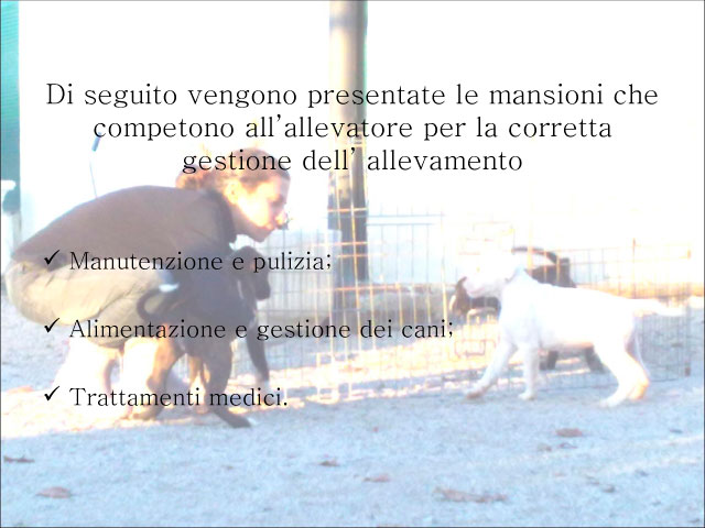 Tesi di Chiara Centozone