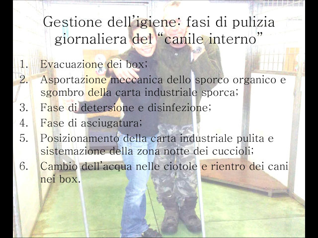 Tesi di Chiara Centozone