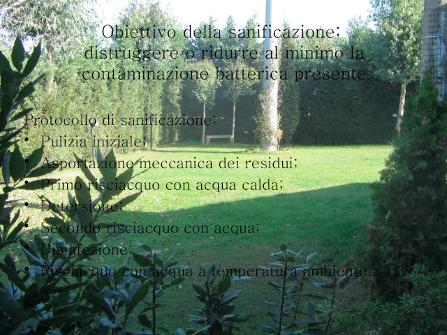 Tesi di Chiara Centozone