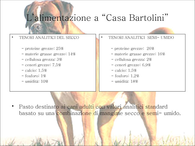 Tesi di Chiara Centozone