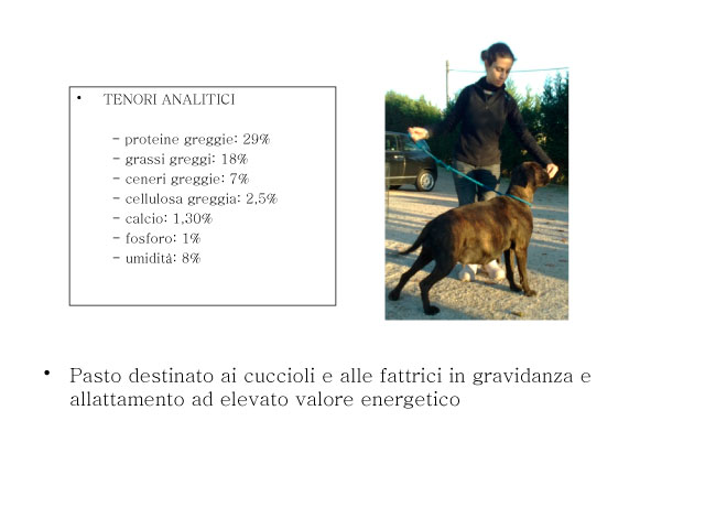 Tesi di Chiara Centozone