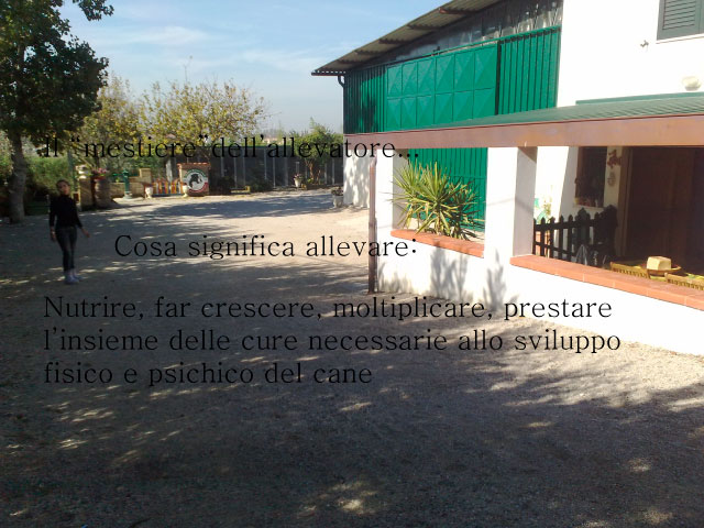 Tesi di Chiara Centozone