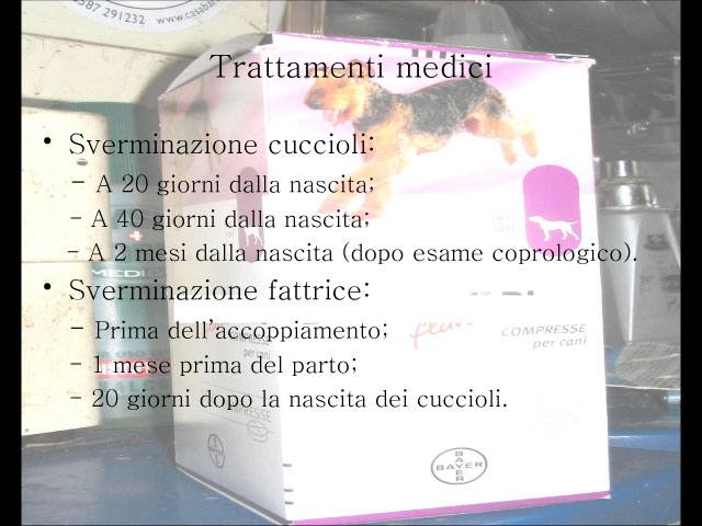 Tesi di Chiara Centozone