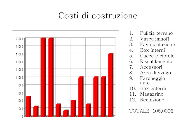 Tesi di Chiara Centozone