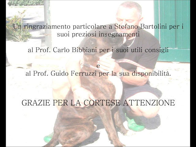 Tesi di Chiara Centozone